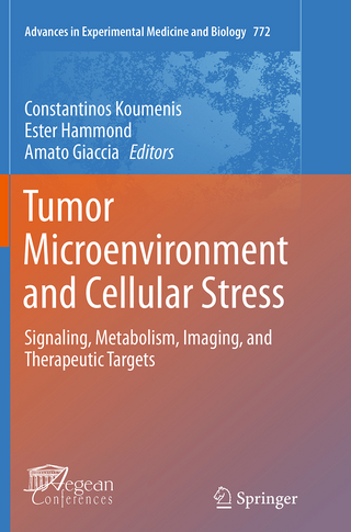 Tumor Microenvironment and Cellular Stress