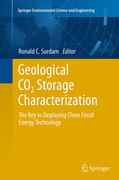 Geological CO2 Storage Characterization - 