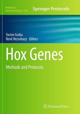 Hox Genes