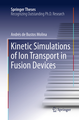 Kinetic Simulations of Ion Transport in Fusion Devices