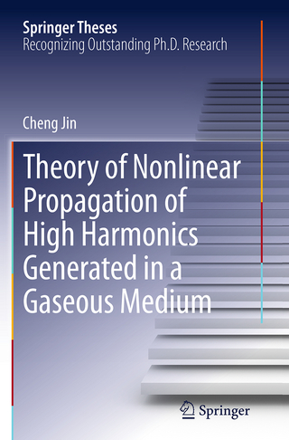 Theory of Nonlinear Propagation of High Harmonics Generated in a Gaseous Medium
