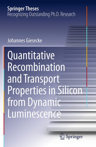 Quantitative Recombination and Transport Properties in Silicon from Dynamic Luminescence