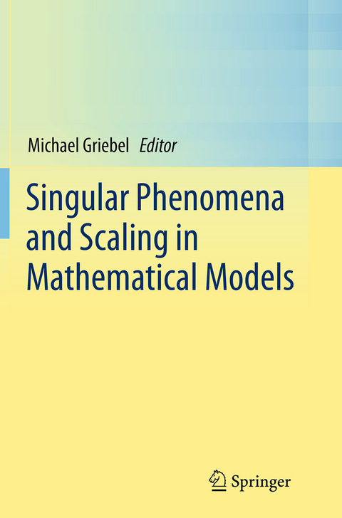 Singular Phenomena and Scaling in Mathematical Models - 