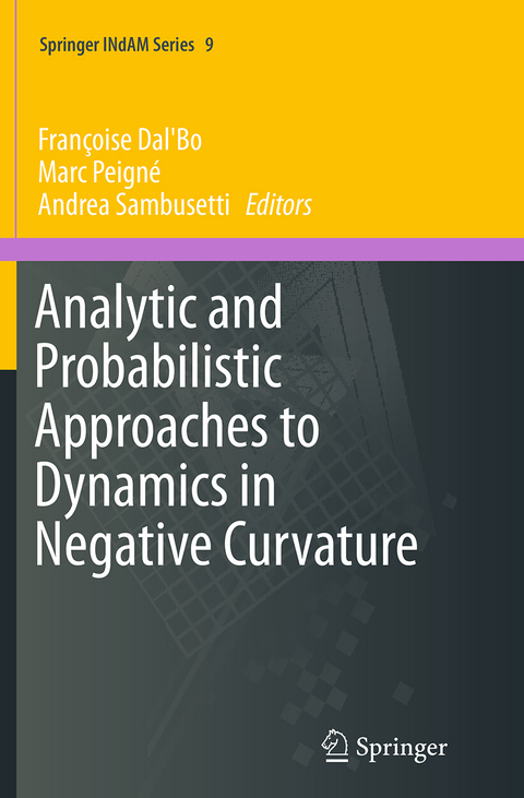 Analytic and Probabilistic Approaches to Dynamics in Negative Curvature - 