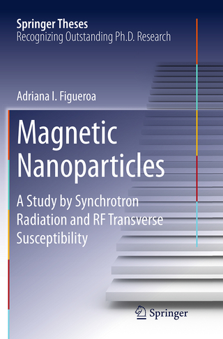 Magnetic Nanoparticles