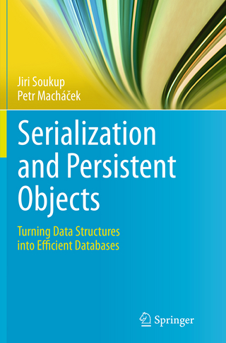 Serialization and Persistent Objects