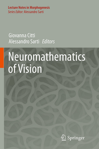 Neuromathematics of Vision