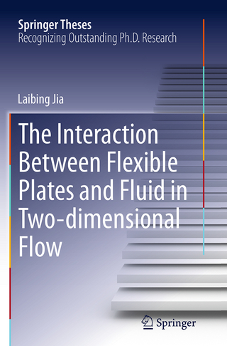 The Interaction Between Flexible Plates and Fluid in Two-dimensional Flow