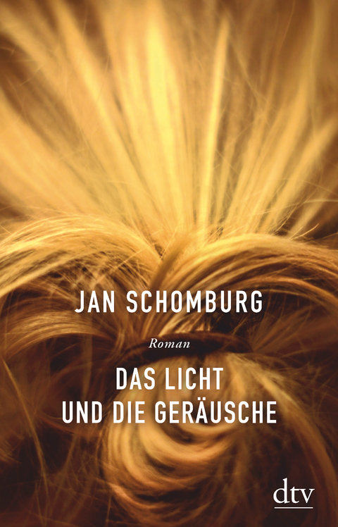 Das Licht und die Ger&auml;usche - Jan Schomburg