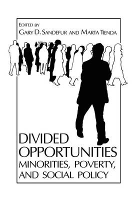 Divided Opportunities: Minorities, Poverty and Social Policy - Gary D. Sandefur, Marta Tienda