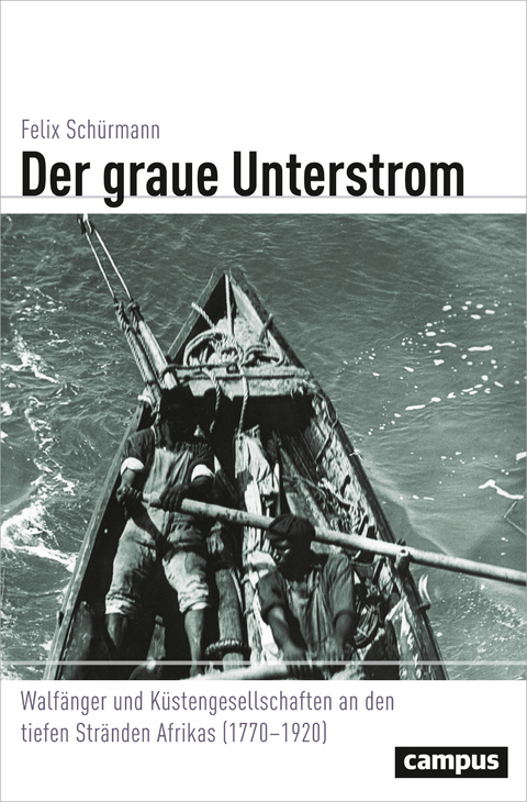 Der graue Unterstrom - Felix Sch&uuml;rmann
