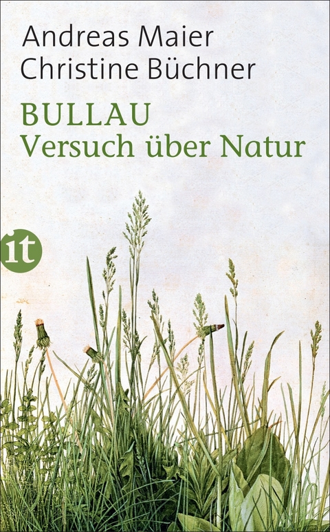 Bullau - Andreas Maier, Christine B&uuml;chner