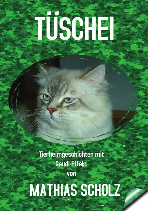 T&uuml;schei - Mathias Scholz