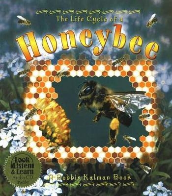 The Life Cycle of a Honeybee - Amanda Bishop