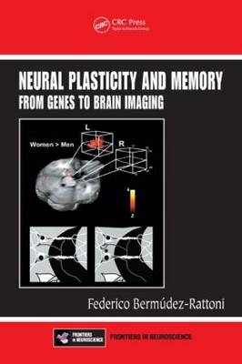 Neural Plasticity and Memory - 