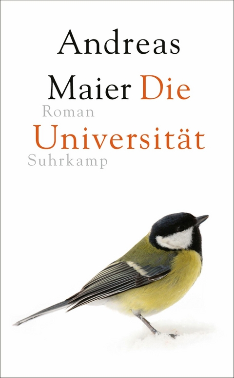 Die Universität - Andreas Maier