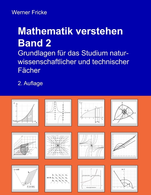 Mathematik verstehen Band 2 - Werner Fricke
