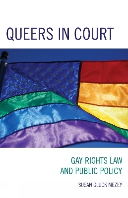 Queers in Court - Susan  Gluck Mezey