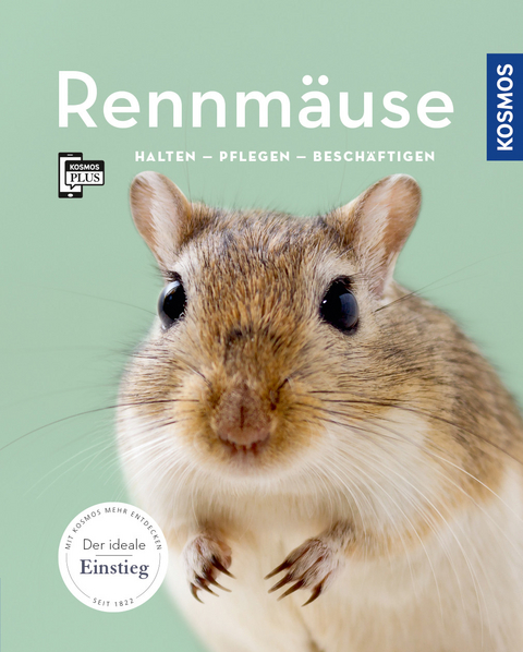Rennm&auml;use - Anja Steinkamp