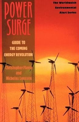 Power Surge - Christopher Flavin, Nicholas Lenssen