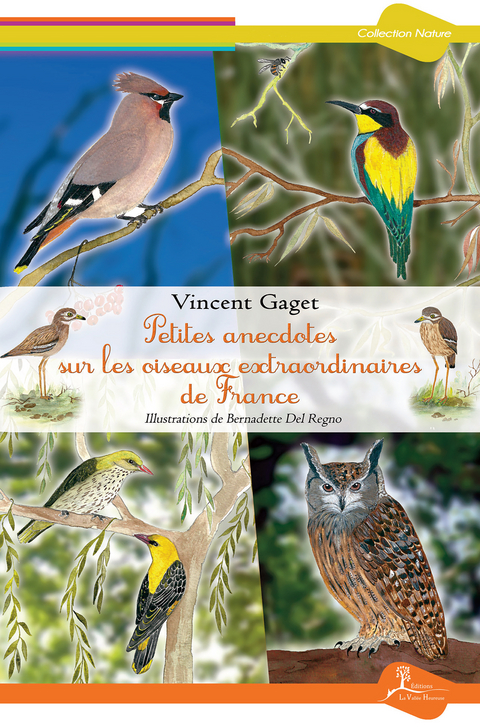 Petites anecdotes sur les oiseaux extraordinaires de France - Vincent Gaget