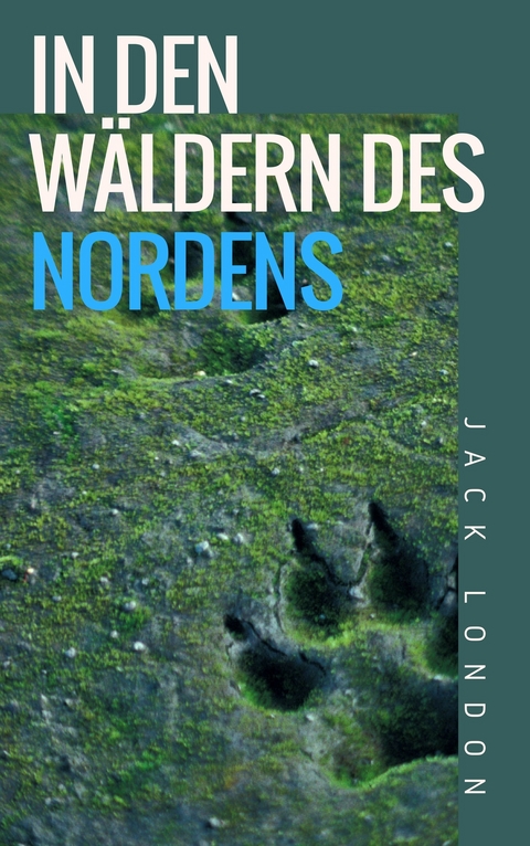 In den Wäldern des Nordens - Jack London
