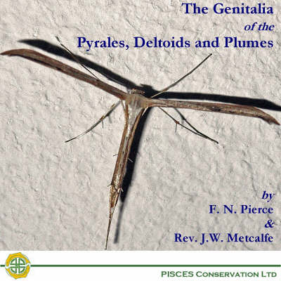The Genitalia of the British Pyrales, Deltoids and Plumes - F.N. Pierce, J.W. Metcalfe