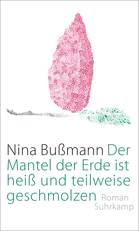 Der Mantel der Erde ist hei&szlig; und teilweise geschmolzen - Nina Bu&szlig;mann