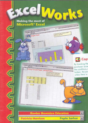 Making the Most of Microsoft Excel