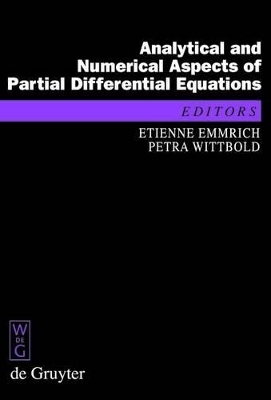 Analytical and Numerical Aspects of Partial Differential Equations - 