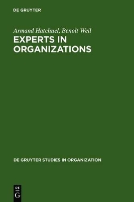 Experts in Organizations