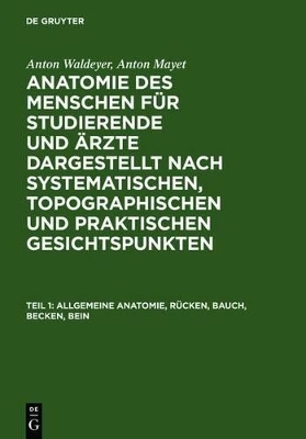 Anton Waldeyer; Anton Mayet: Anatomie des Menschen / Allgemeine Anatomie, Rücken, Bauch, Becken, Bein