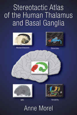 Stereotactic Atlas of the Human Thalamus and Basal Ganglia