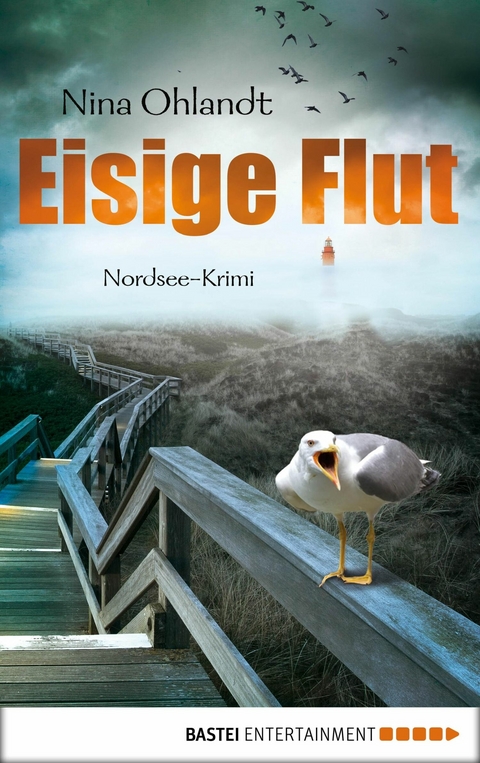 Eisige Flut - Nina Ohlandt
