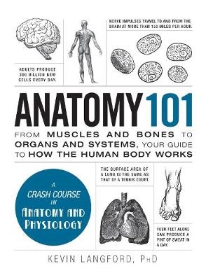 Anatomy 101 -  Kevin Langford