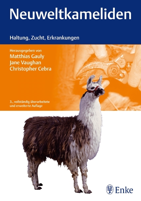 Neuweltkameliden - 
