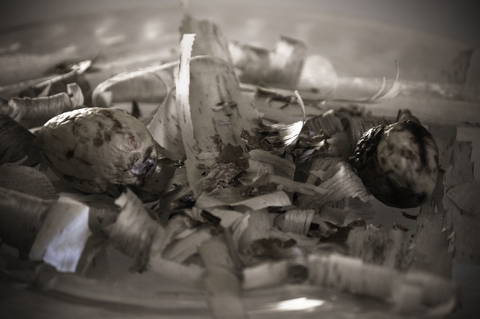 Versuch zu einer ästhetischen Theorie - David Koppensteiner