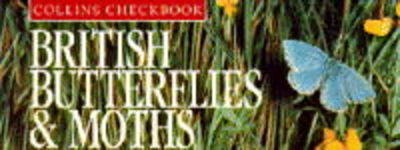 British Butterflies and Moths - 