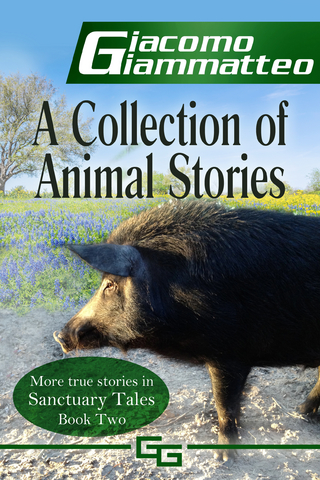 Collection of Animal Stories