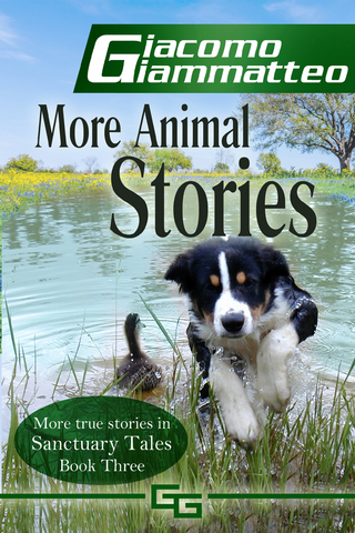 More Animal Stories