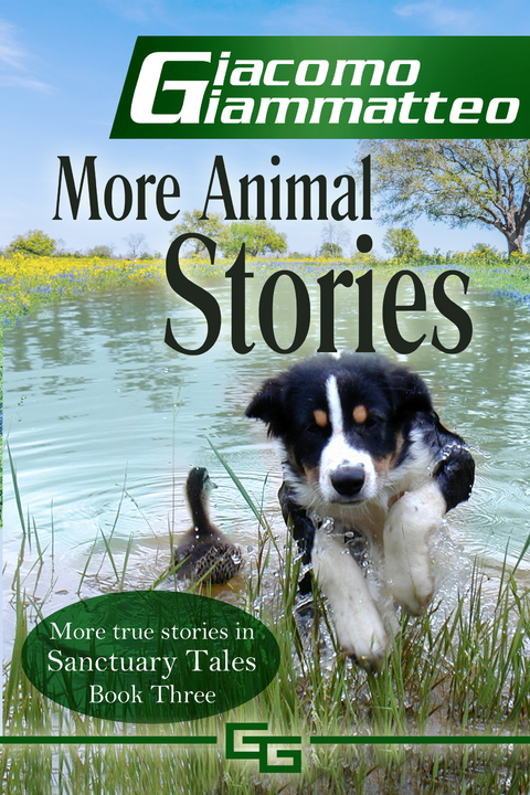 More Animal Stories -  Giacomo Giammatteo