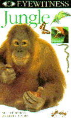 Eyewitness Jungle Video