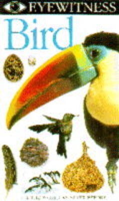 Eyewitness Bird Video