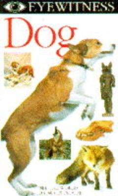 Eyewitness Dog Video