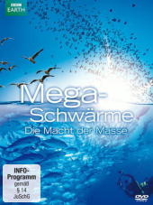 Megaschwärme - Die Macht der Masse, 1 DVD