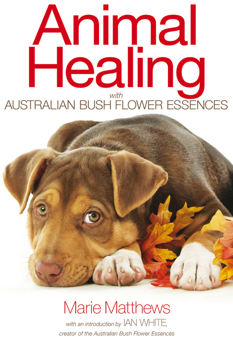 Animal Healing with Australian Bush Flower Essences -  Marie Matthews