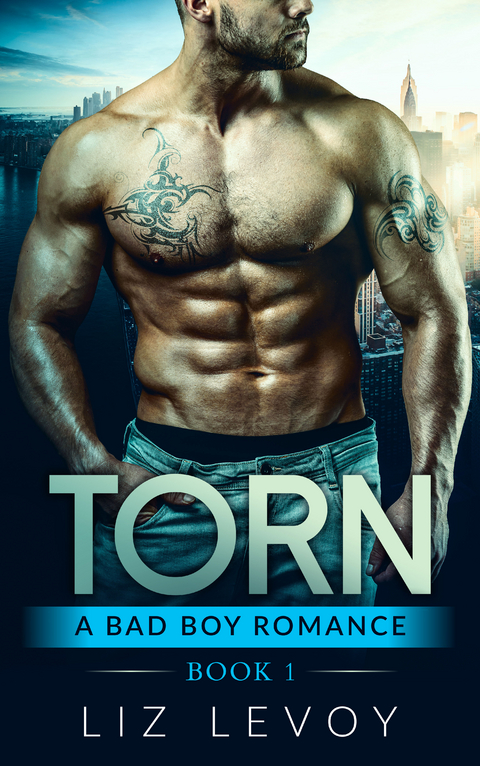 Torn 1 -  Liz Levoy