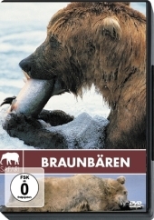 Braunbären, 1 DVD