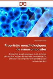Propri�t�s Morphologiques de Nanocomposites -  Moreaud-M