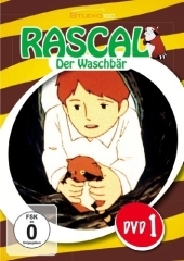 Rascal - Der Waschb&auml;r, 1 DVD. Vol.1